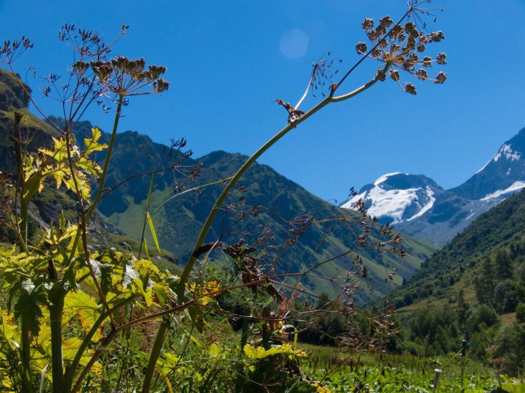 Une jolie randonnée à Champagny le Haut