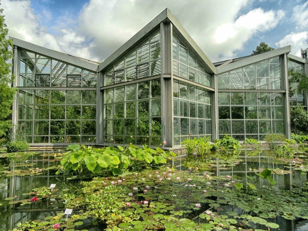 Le jardin botanique de Francfort