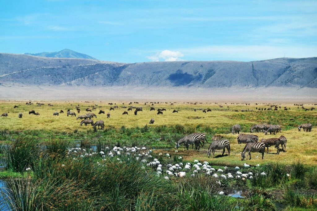 Le cratère du Ngorongoro