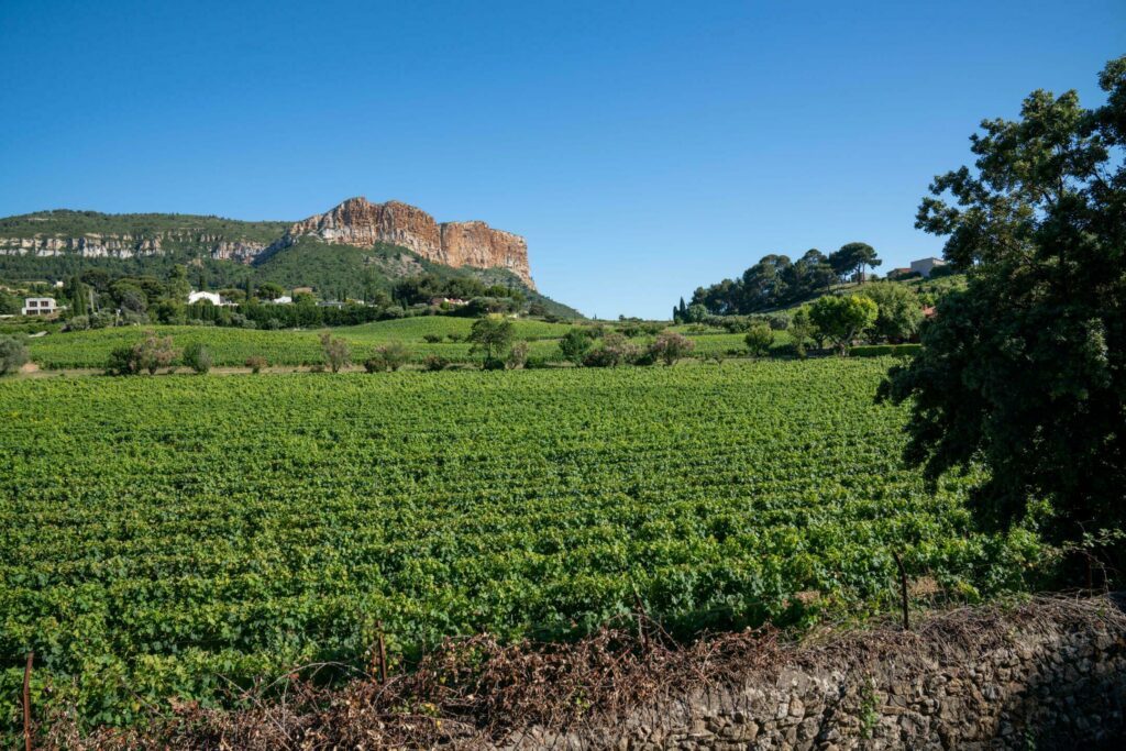 Découvrir les vignobles de Cassis, près de Marseille