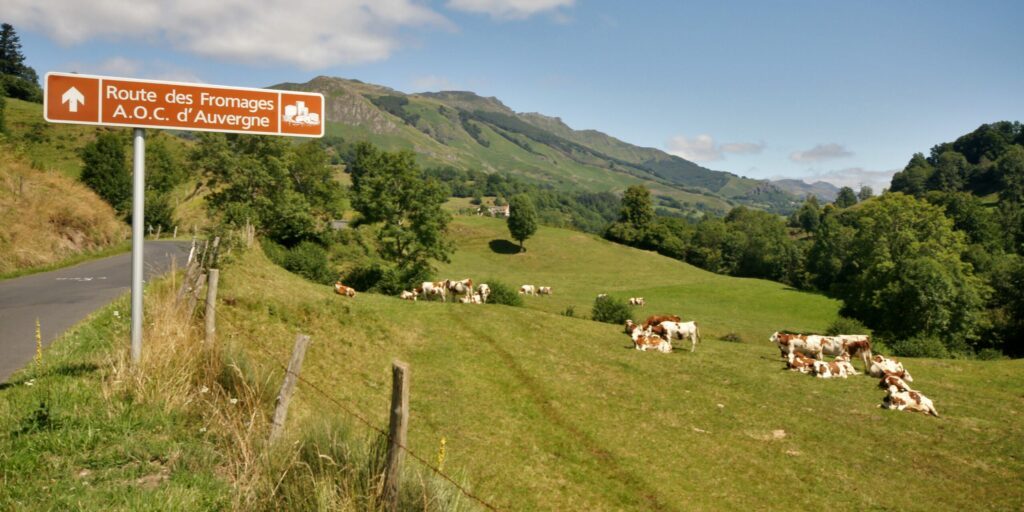 La route des fromages en Auvergne