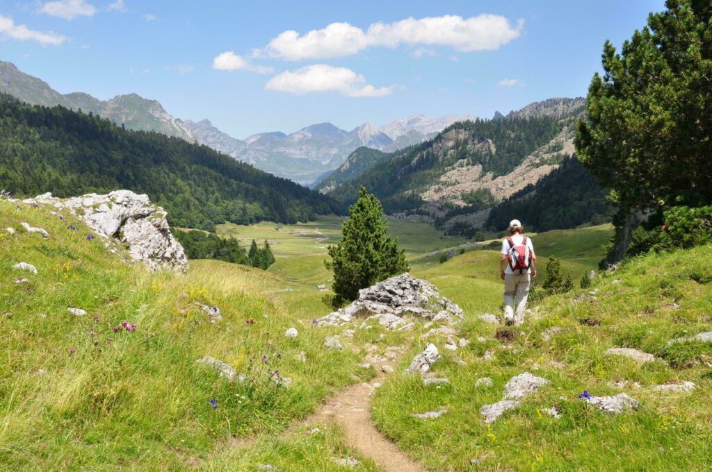 La vallée d'Ossau