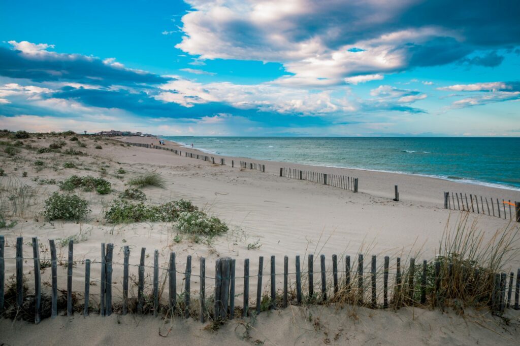Lézarder sur une plage de Canet-en-Roussillon