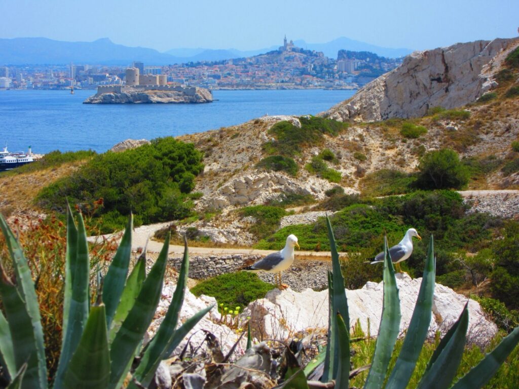 Balade sur l'île de Frioul au large de Marseille
