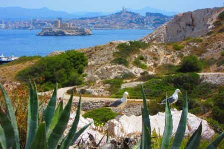 12 balades autour de Marseille à faire absolument !