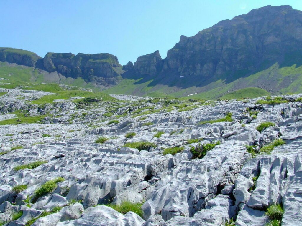 Le désert de Platé