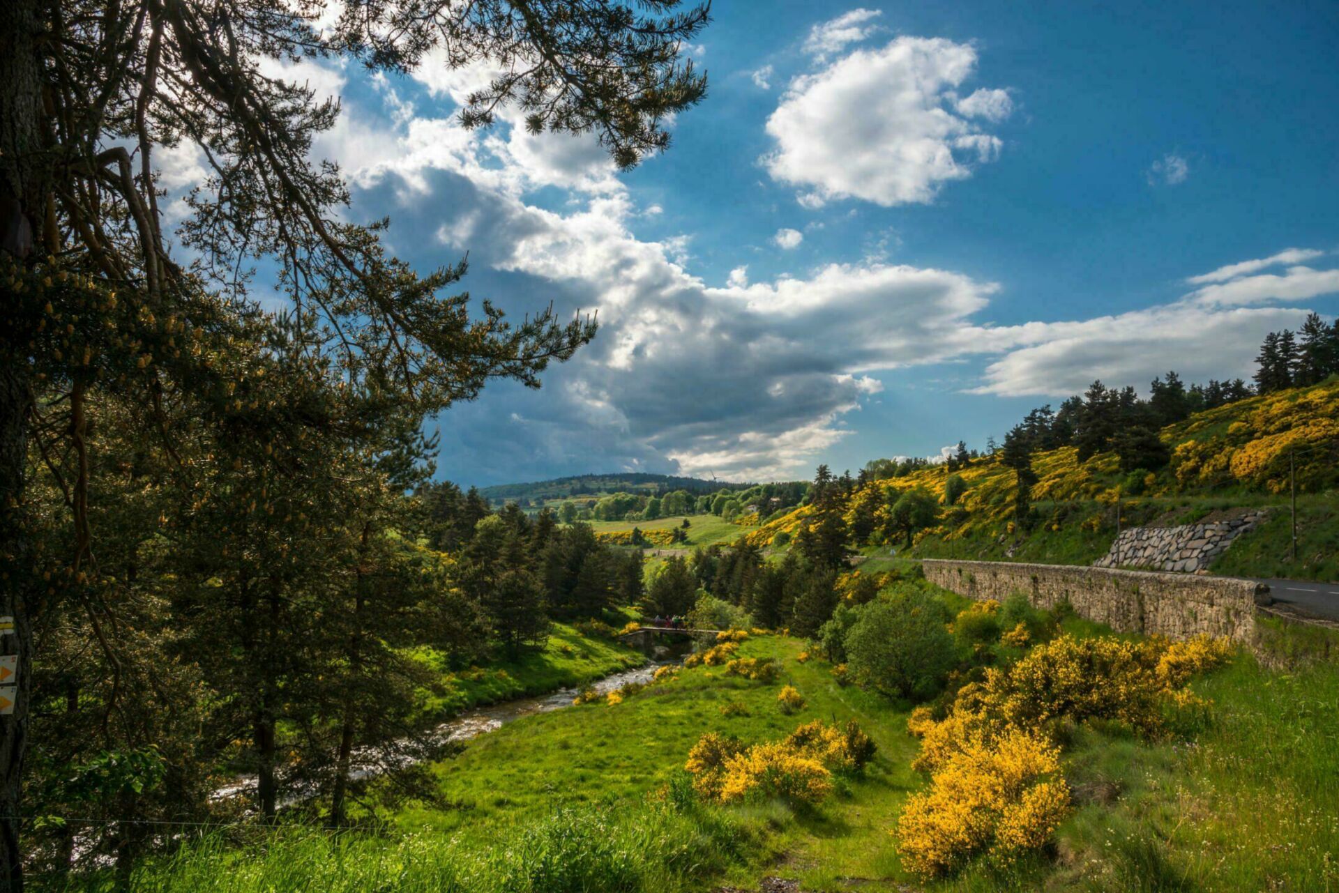Le parc national régional des Monts d'Auvergne