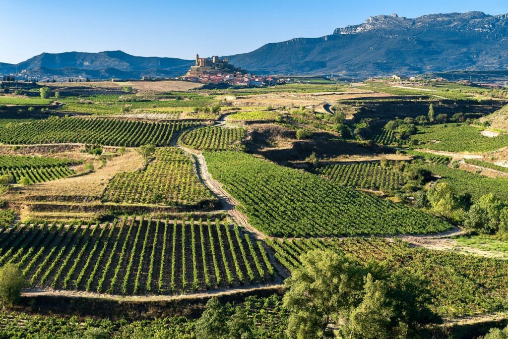 Les vignes de la Rioja