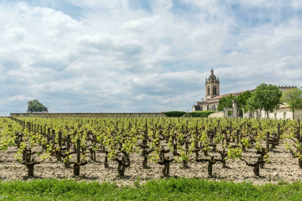 Les vignobles du Médoc