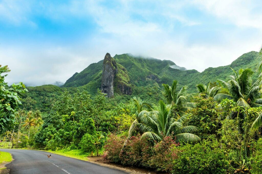 Paysage de l'île de Raiatea