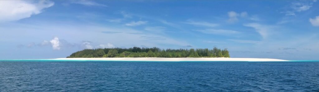 Plongée à Zanzibar - atoll de Mnemba