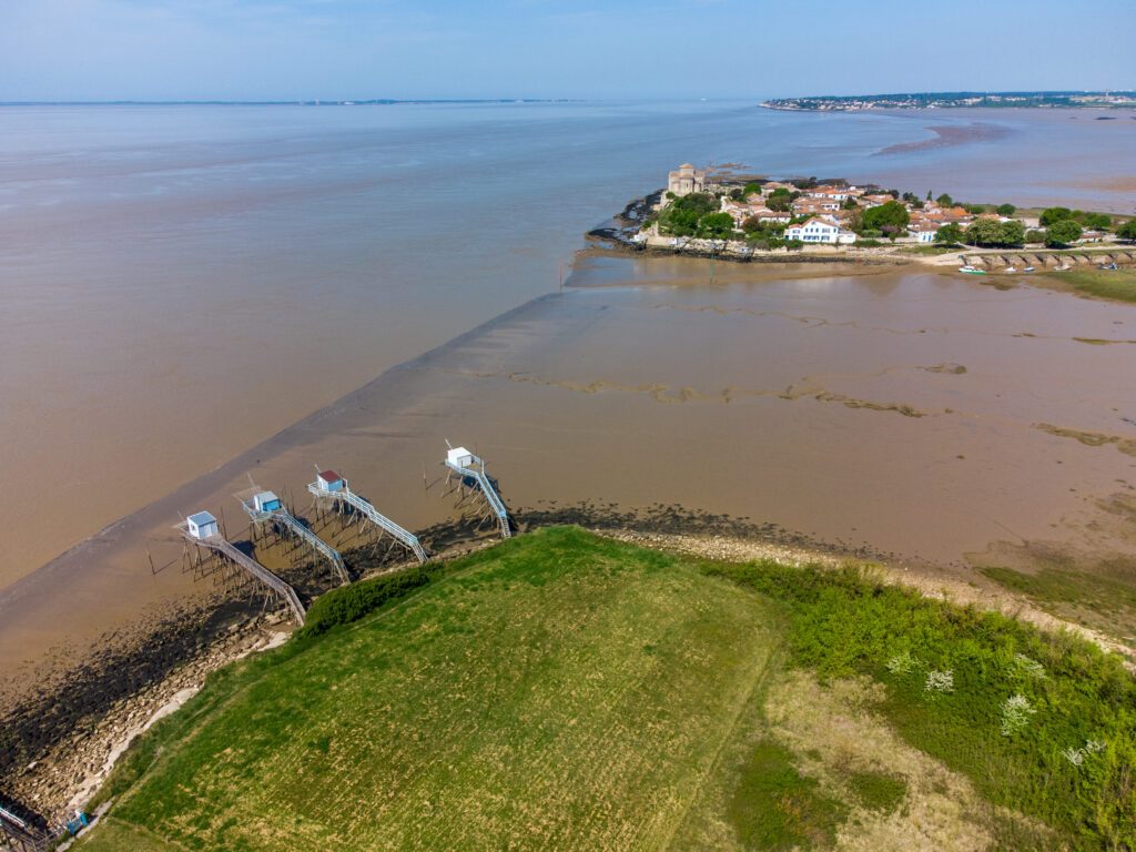 Explorez l'estuaire de la Garonne (Talmont-sur-Gironde autour de Royan)