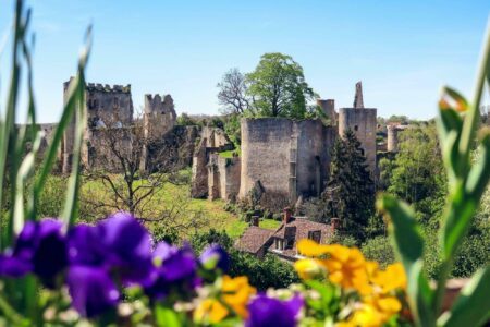 Que faire dans la Vienne ? 18 visites incontournables !