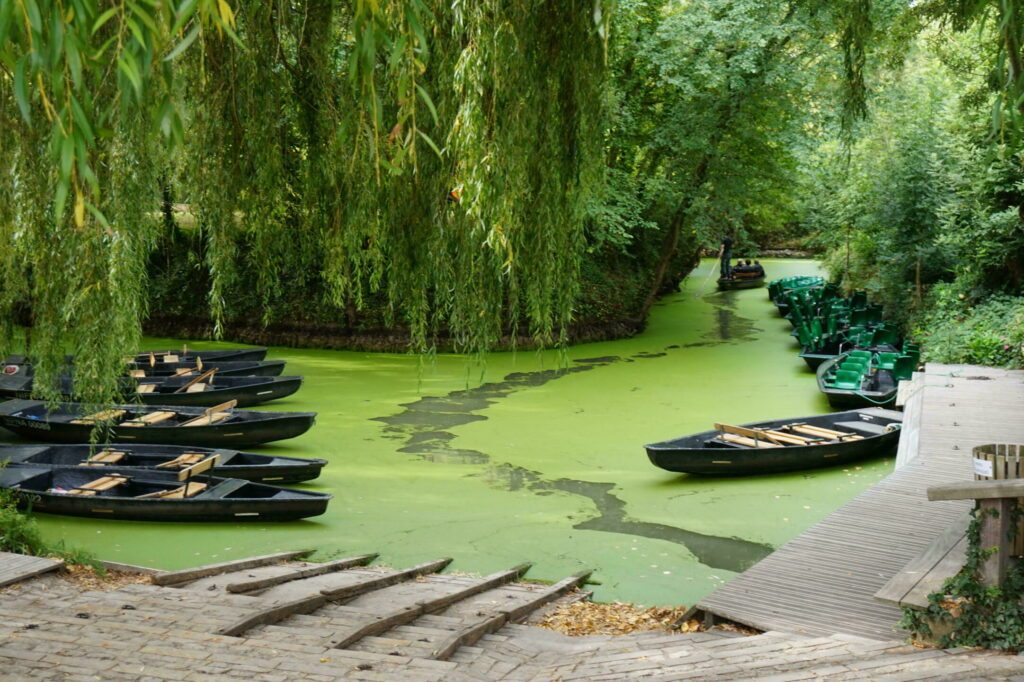 Le marais Poitevin dans les paysages de France