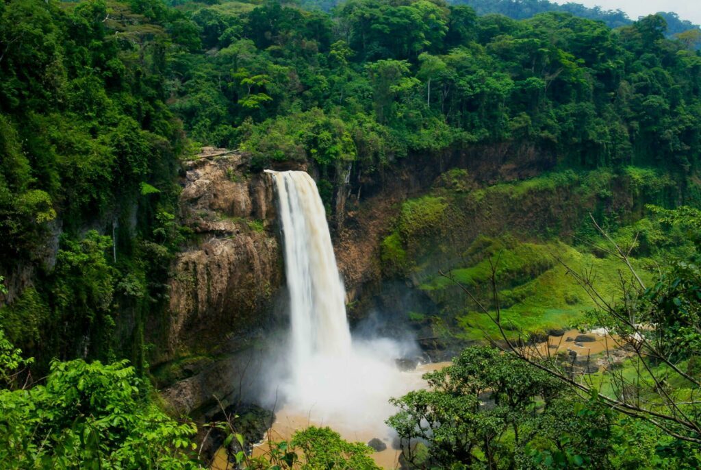Une fois votre visa en poche, découvrez la nature au Cameroun