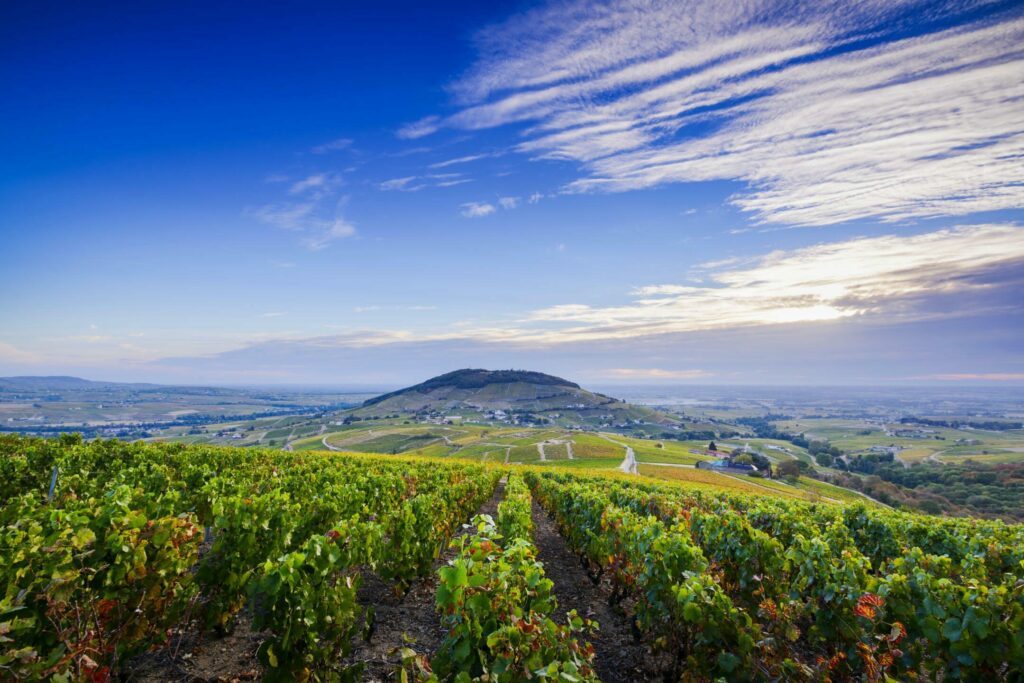 Vue sur le Mont Brouilly