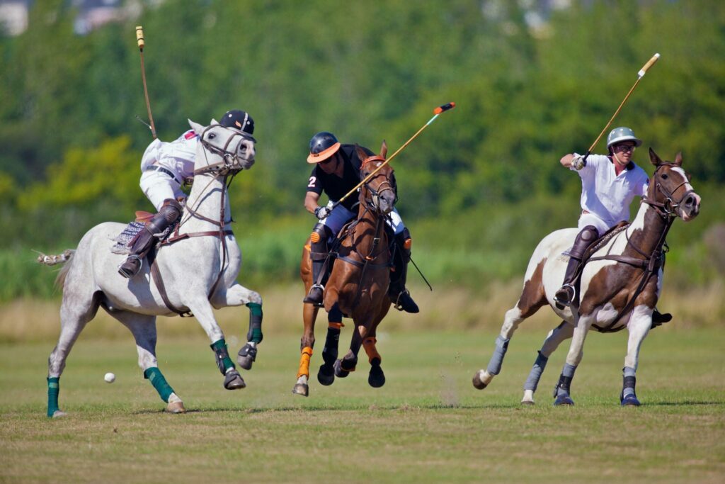 Joueurs de polo