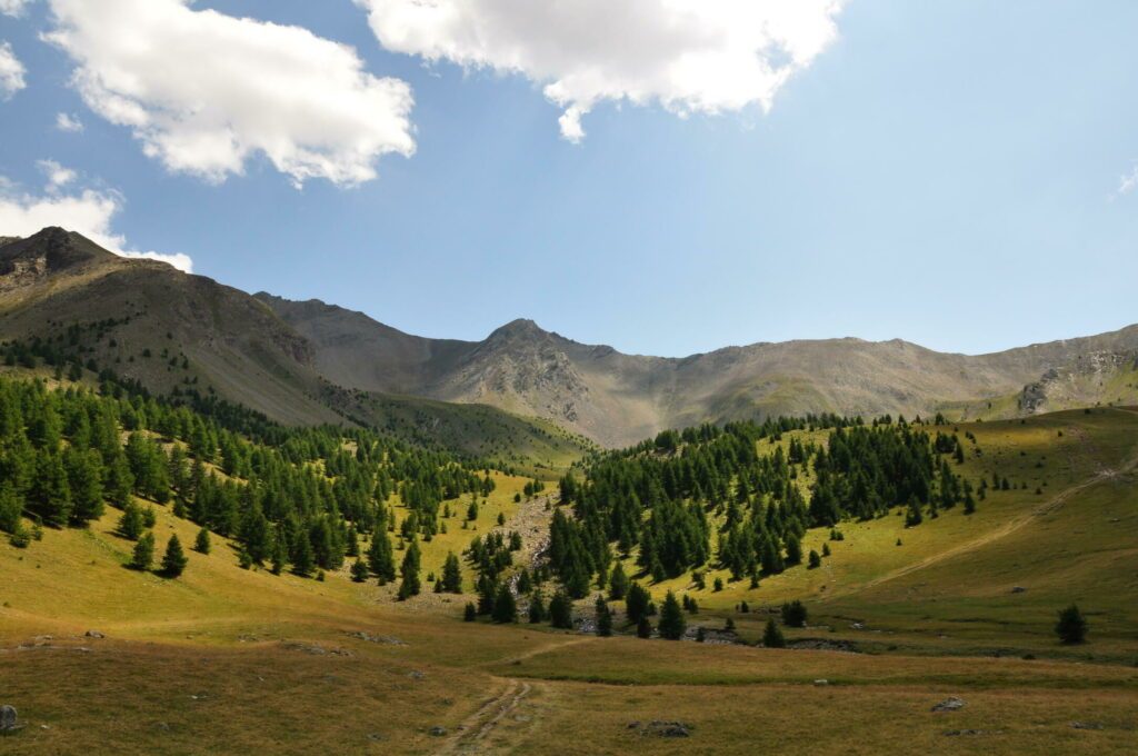 La vallée des Orres en été