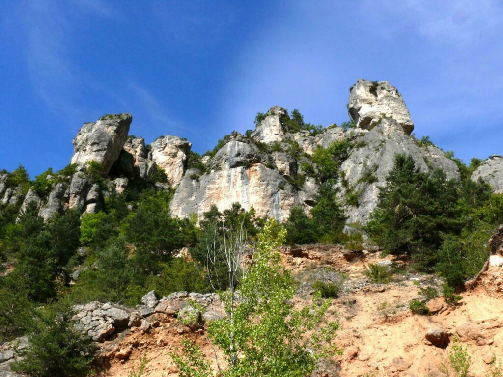 Escalader les falaises de la Jonte