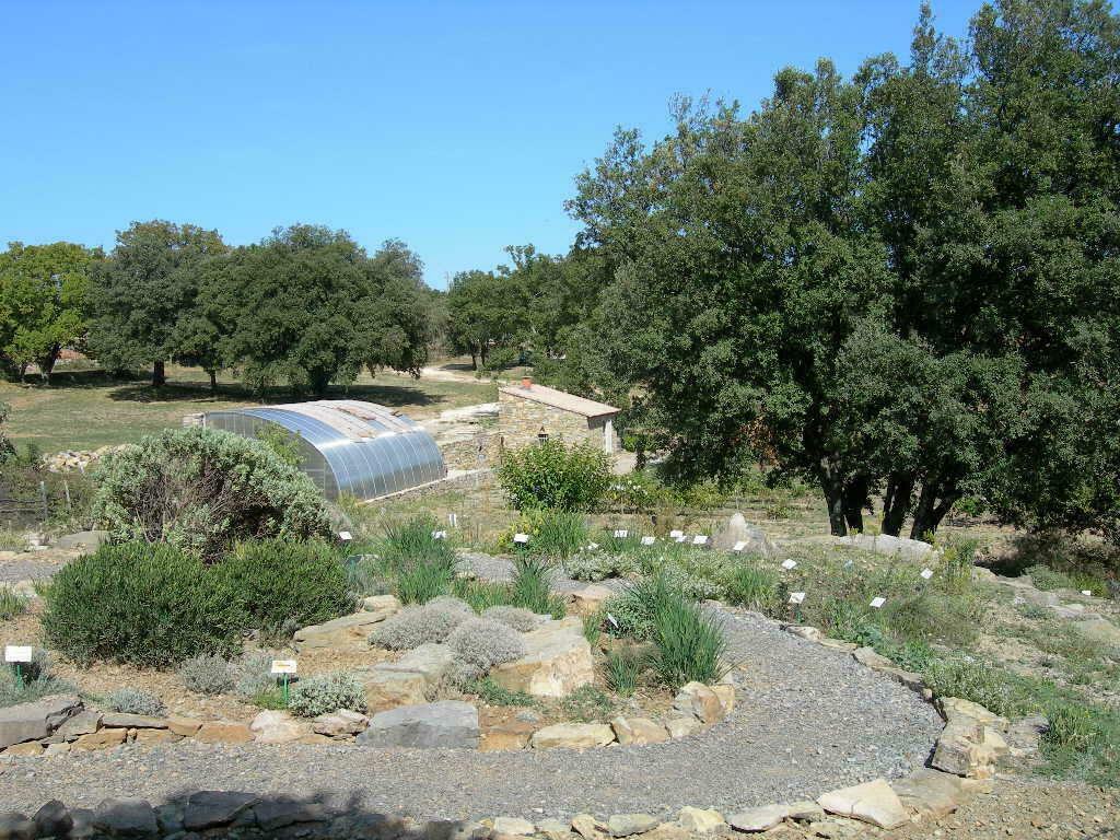 Le jardin ethnobotanique de Rousson