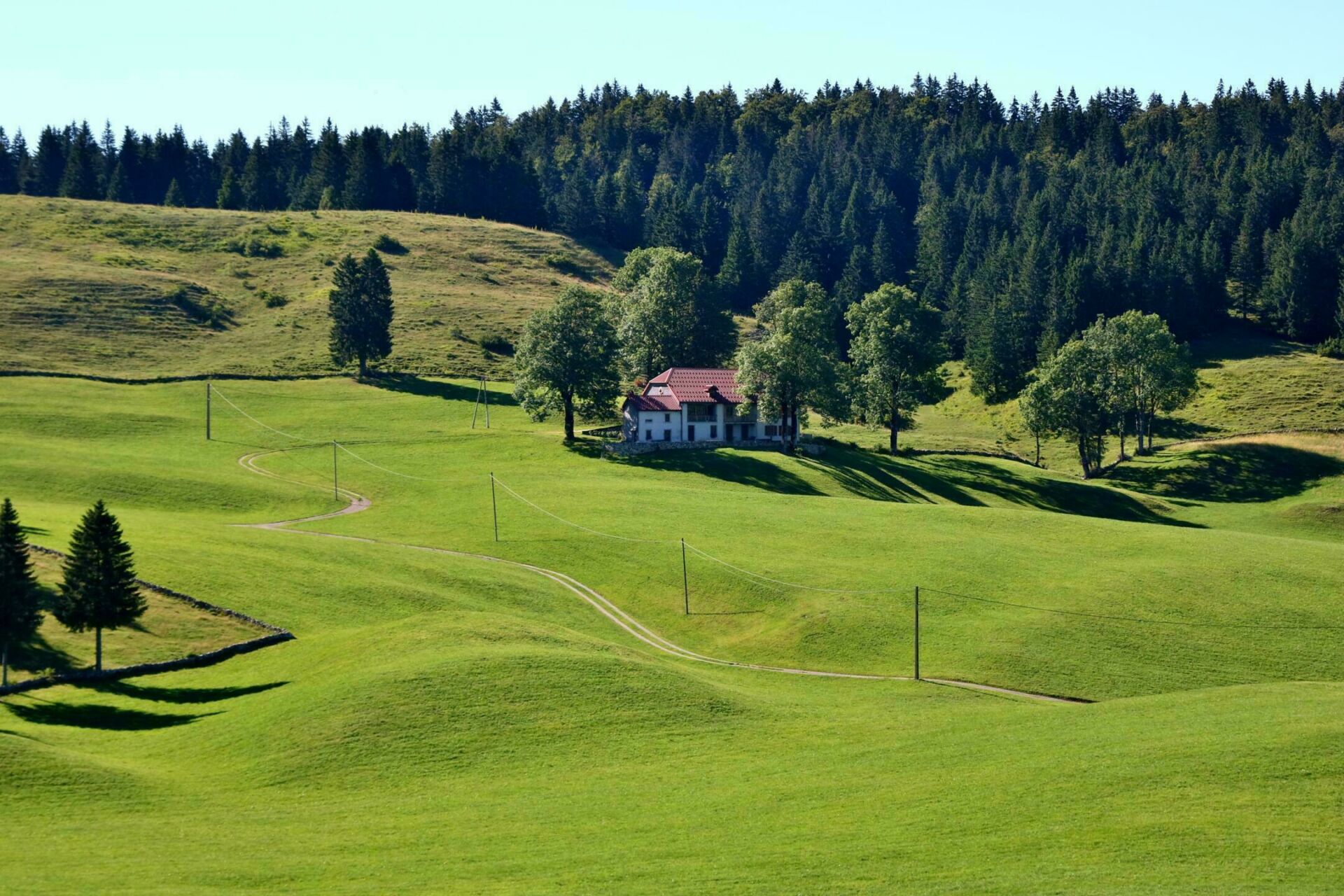 Le parc naturel du Haut-Jura