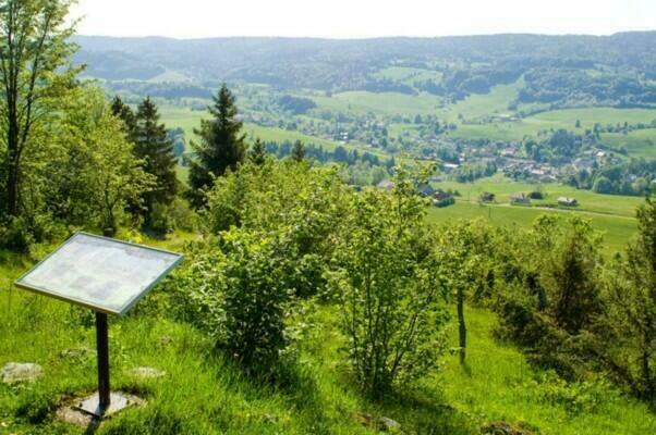 Le sentier botanique du Bayard dans le Haut-Jura