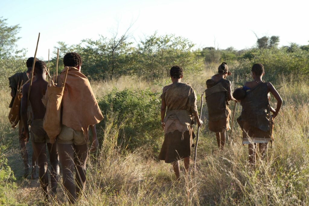 Aller à la rencontre des Bushmen