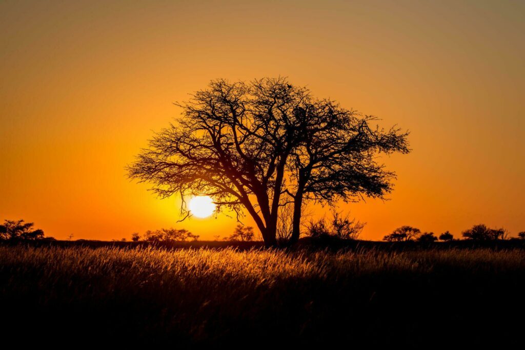 Coucher de soleil au Kalahari