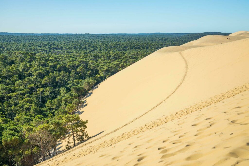 La dune du Pilat à faire en Gironde