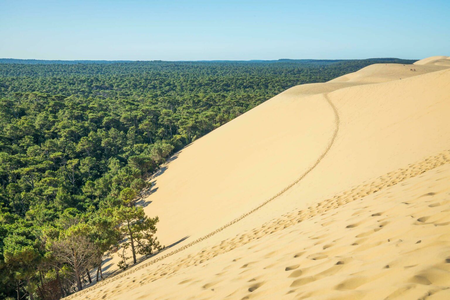 Les 13 visites incontournables à faire en Gironde