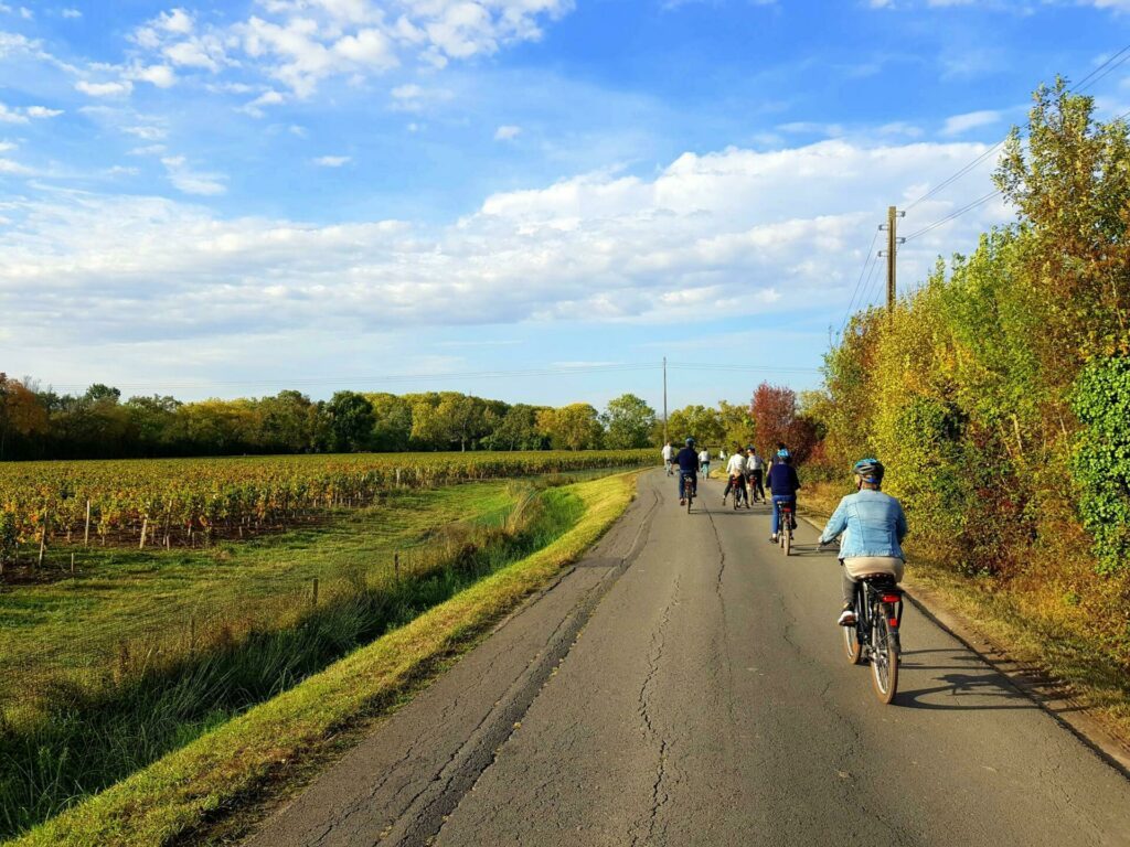 La route des vins à vélo