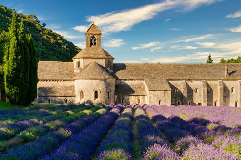 The famous Abbaye Notre-Dame de Sénanque with lavender field in the foreground, Provence, France