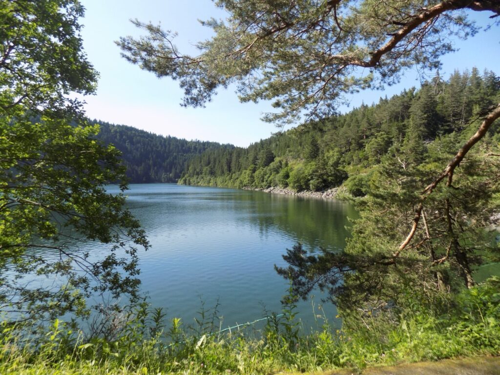 Le Lac Blanc en été, près de Colmar