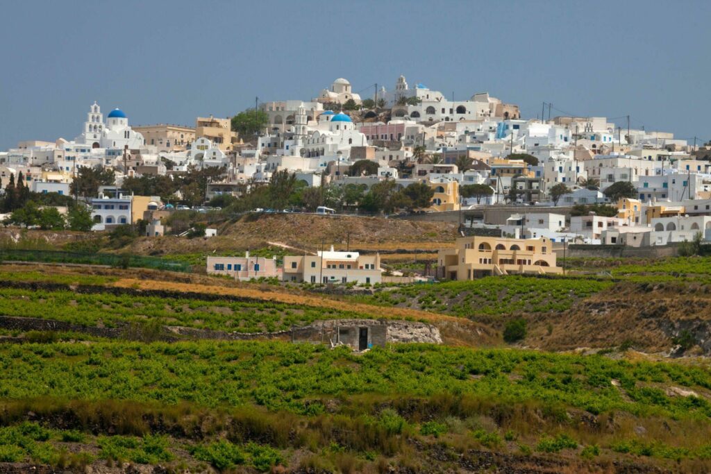 Les vignes de Santorin