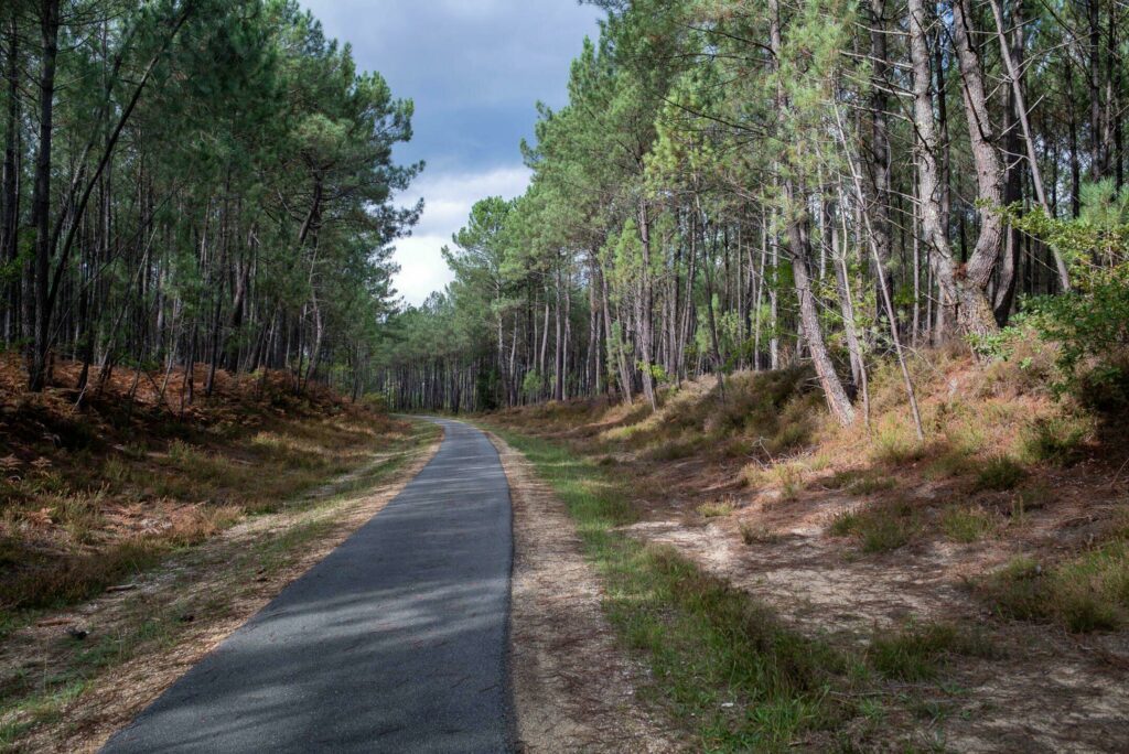 Landes de Gascogne doğal parkındaki bisiklet yolu