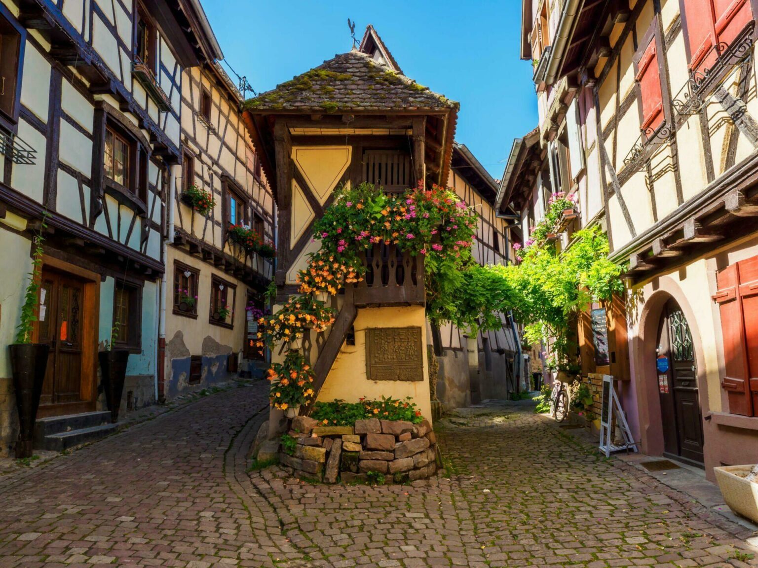 colmar travis