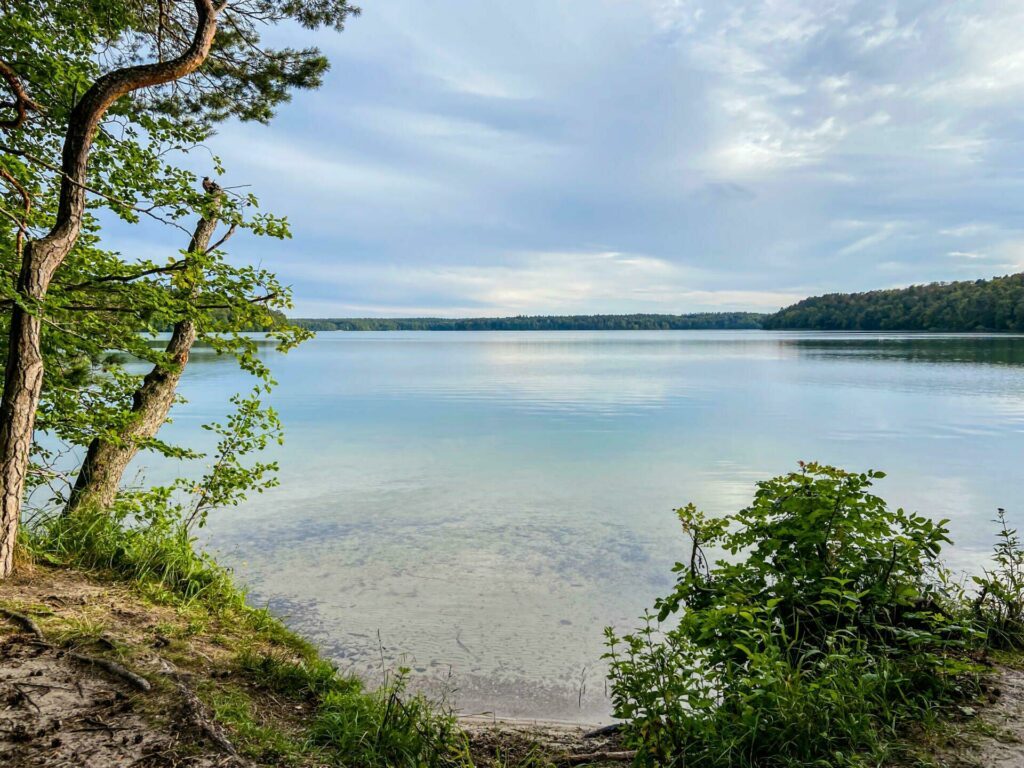 Stechlinsee parmi les plus beaux lacs d'Allemagne