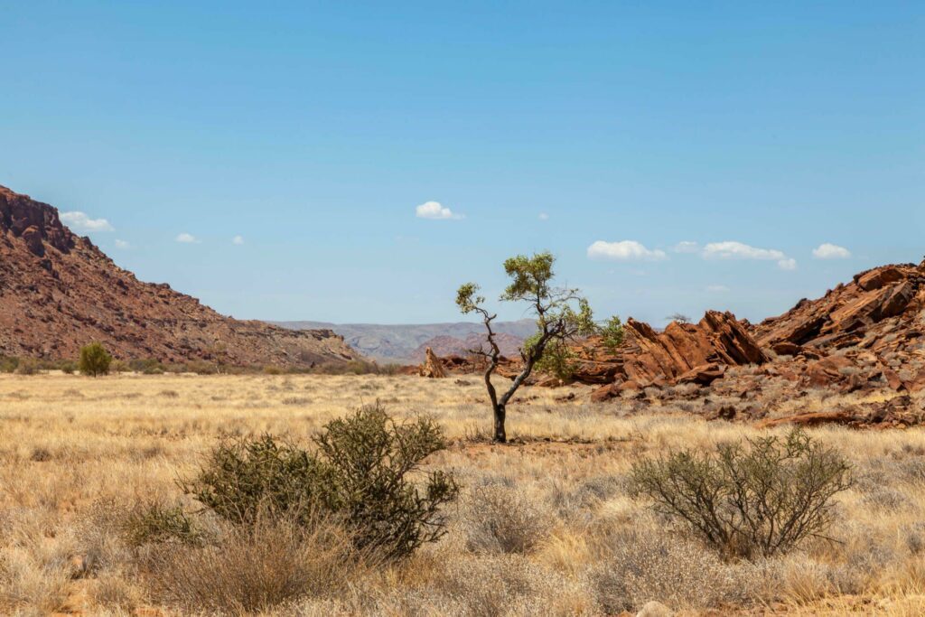Twyfelfontein i Namibia