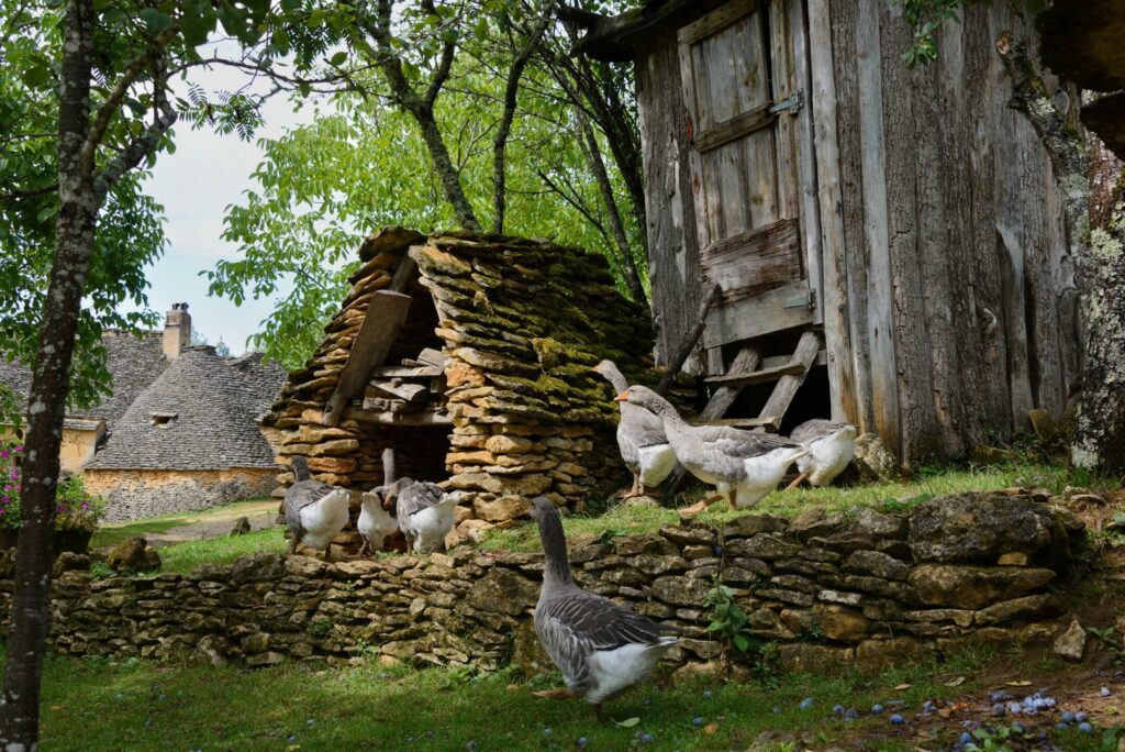 Une ferme traditionnelle en Dordogne