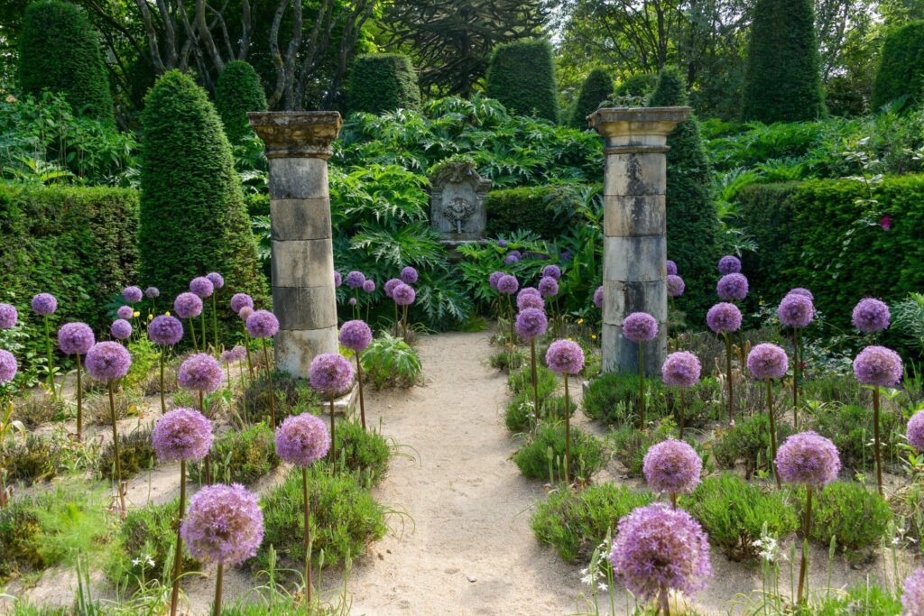 Le jardin d'Agapanthe à faire autour de Dieppe