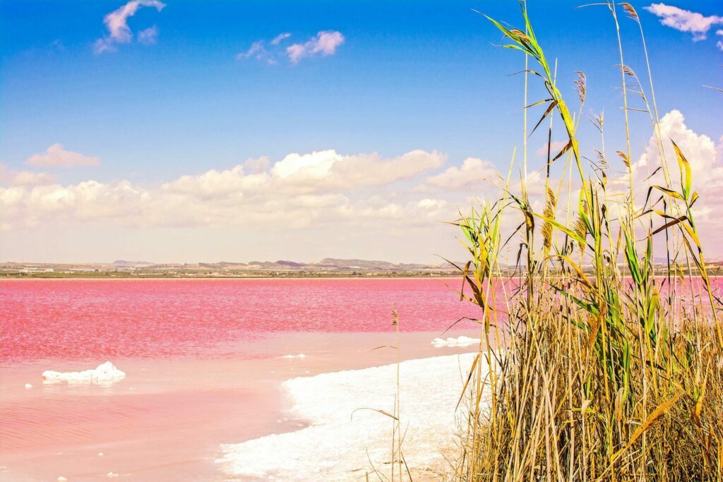 Le lac rose parmi les paysages d'Espagne