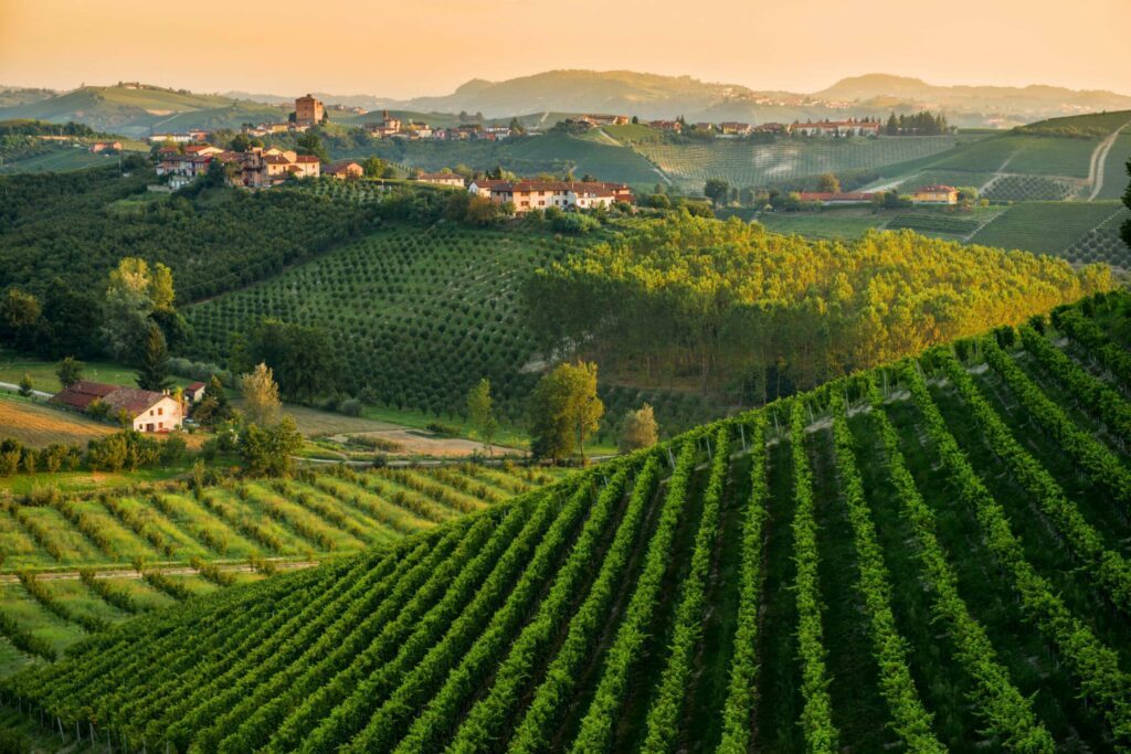 Le panorama du Montferrato