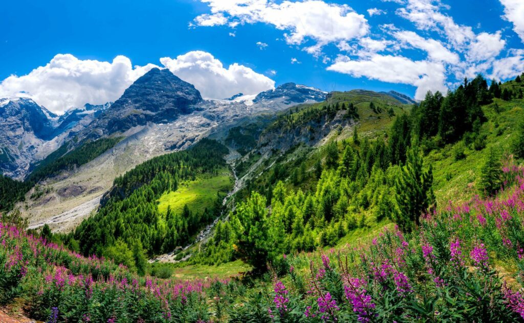 Le parc naturel du Stelvio en Italie