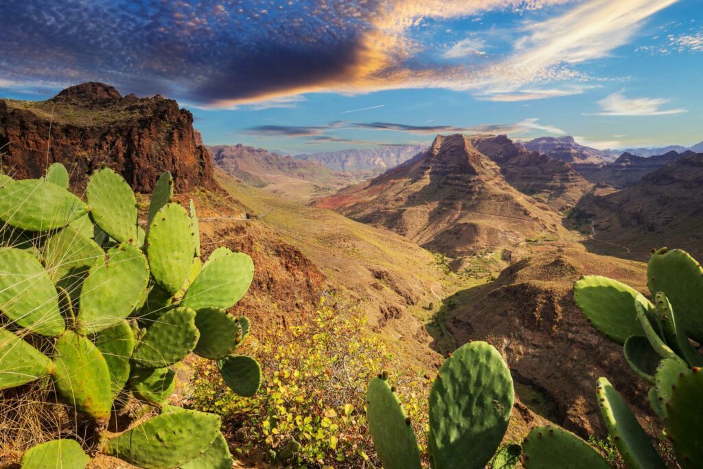 Paysage de Gran Canaria aux îles Canaries