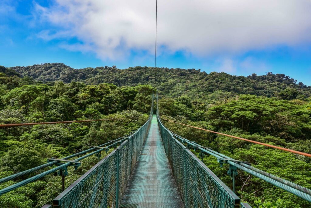 La réserve de Monteverde au Costa-Rica