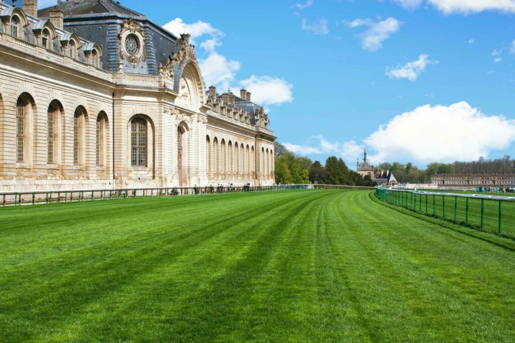 Le musée vivant du cheval autour du Parc Astérix