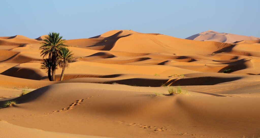 Le Sahara au Maroc parmi les plus beaux paysages du monde