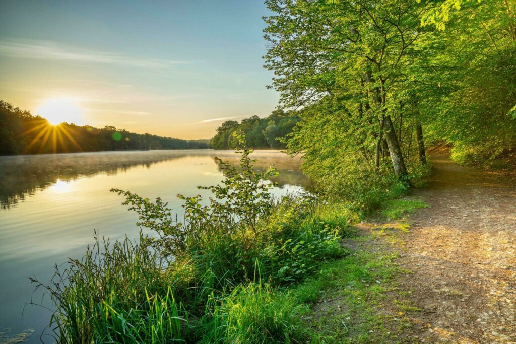 Les Etangs de Commelles