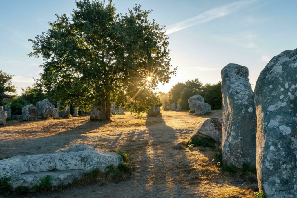 Les menhirs de Carnac