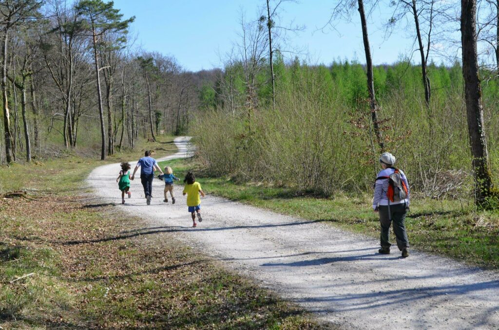 Parcours au parc national de Forêts